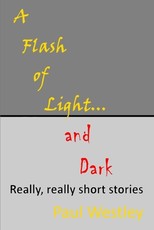 A Flash of Light and Dark volumes I-IV