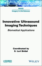 Innovative Ultrasound Imaging Techniques