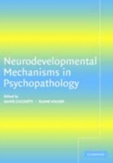 Neurodevelopmental Mechanisms in Psychopathology