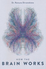 How the brain works