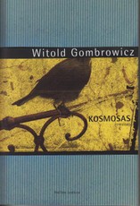 Kosmosas