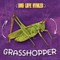 Grasshopper