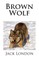 Brown Wolf