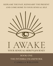 I AWAKE Book One The invisible framework