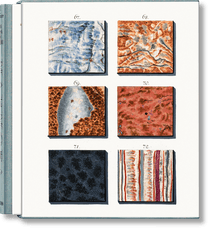 Jan Christiaan Sepp. The Book of Marble