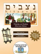 Bar/Bat Mitzvah Survival Guides