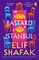 Shafak, E: Bastard of Istanbul
