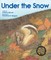 Under the Snow