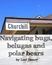 Navigating bugs, belugas and polar bears in Churchill, Canada