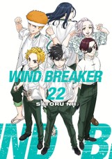 Wind Breaker 22