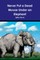 Never Put a Dead Mouse Under an Elephant