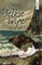 The Selkie Wife