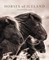 Horses of Iceland