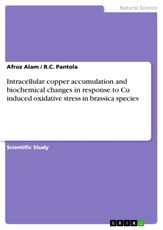 Intracellular copper accumulation and biochemical changes in response to Cu induced oxidative stress in brassica species