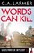 Words Can Kill (Ghostwriter Mystery 5)