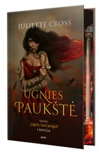 Knygos.lt blitz kaina