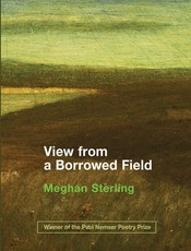 View from a Borrowed Field