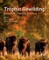 Trophic Rewilding