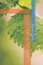 Nature-Positive Water Utilities