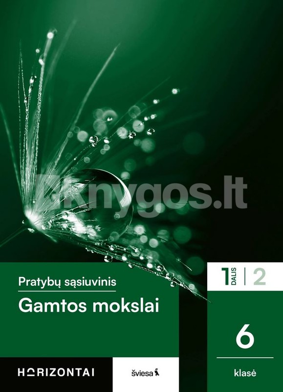 Gamtos Mokslai Pratyb S siuvinis 6 Klasei 1 Dalis Serija Horizontai