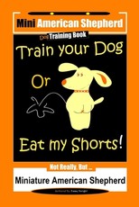 Mini American Shepherd Dog Training, Train Your Dog Or Eat My Shorts!