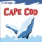 Local Baby Cape Cod