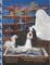 Mondo Man Smartest Dog In All The Land