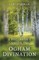 A Beginner's Guide to Ogham Divination