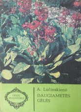 Daugiametės gėlės