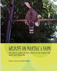 Wildlife On Martha's Farm