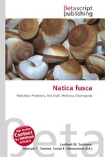 Natica fusca
