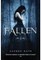 Fallen 01