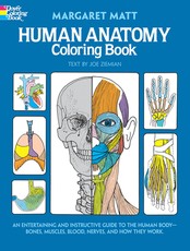 Human Anatomy Coloring Book
