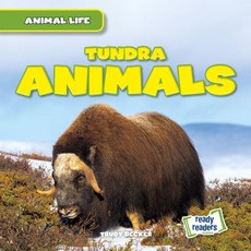 Tundra Animals