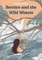 Bernice and the Wild Waters