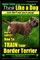 Border Terrier, Border Terrier Training AAA Akc