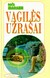 Vagilės užrašai