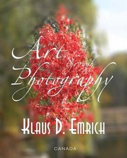 Art through Photography