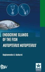 Endocrine Glands of the Fish