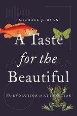 A Taste for the Beautiful