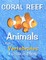 Coral Reef Animals Book 2