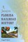 A Journey Into Florida Railroad History
