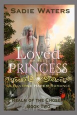 Loved by the Princess