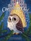 Sterer, G: Christmas Owl