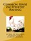 Common Sense on Poultry Raising