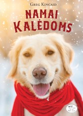 Namai Kalėdoms Namai Kalėdoms