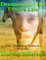 Dreaming of His Future Life: Four Historical Romance Novellas