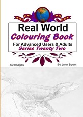 Real World Colouring Books Series 22
