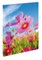Cosmos Flower