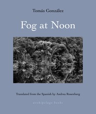 Midday Fog